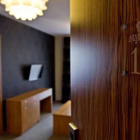 Bed and breakfast Silverton -sauna,jacuzzi,mini Silownia,bar Sezonowy, Przyjazny Rodzinom Białka Tatrzańska