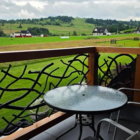 Bed and breakfast Silverton -sauna,jacuzzi,mini Silownia,bar Sezonowy, Przyjazny Rodzinom