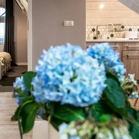 Silverton -sauna,jacuzzi,mini Silownia,bar Sezonowy, Przyjazny Rodzinom 3*